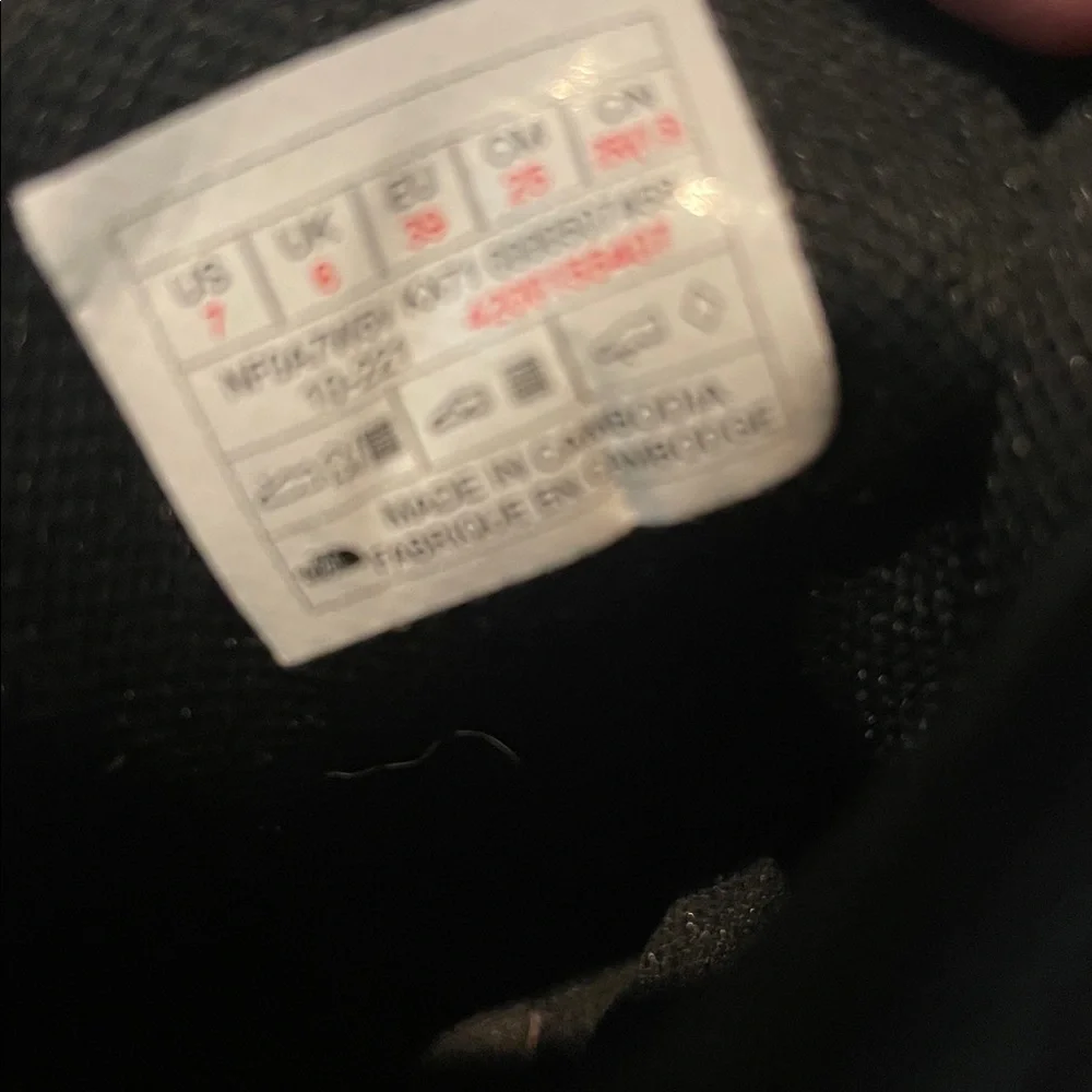 The North Face Men's Hedgehog Black Hiking Shoes